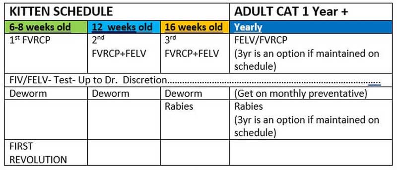 Feline Vaccine Schedule
