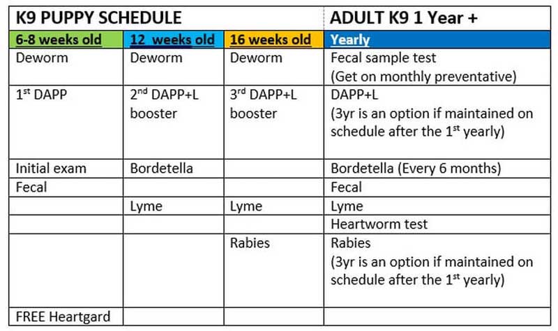 Canine Vaccine Schedule