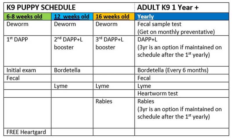 Dog Cat Vaccine Schedules