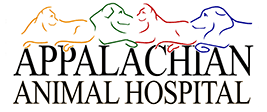 Link to Homepage of Appalachian Animal Hospital