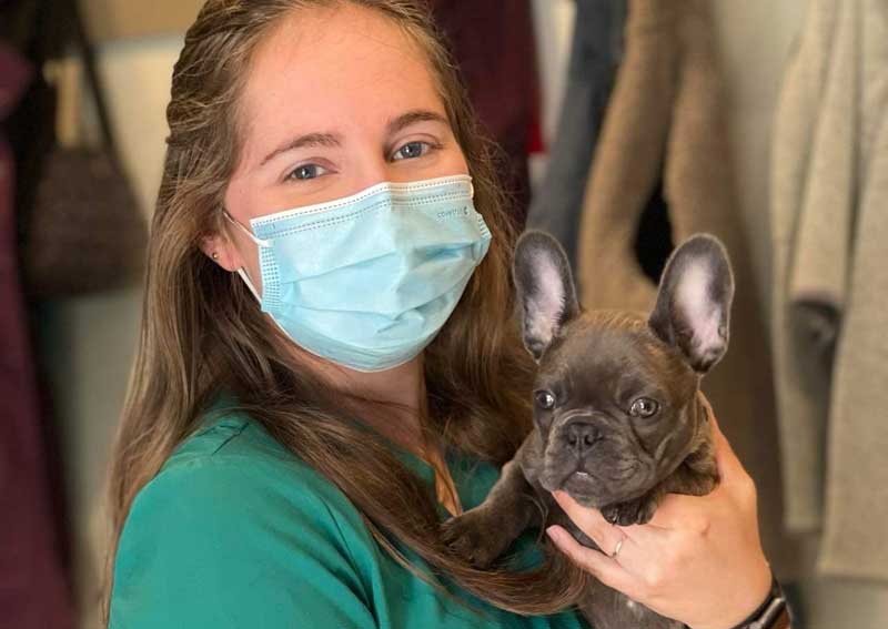 Weaverville puppy veterinarians
